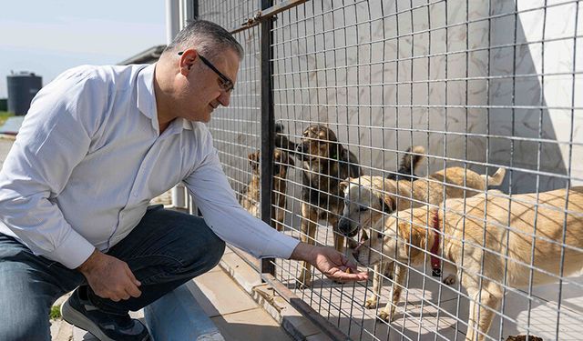 Bornova’da can dostlar için dayanışma