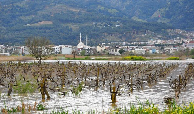 Sel bağları vurdu... Üretici tedirgin!