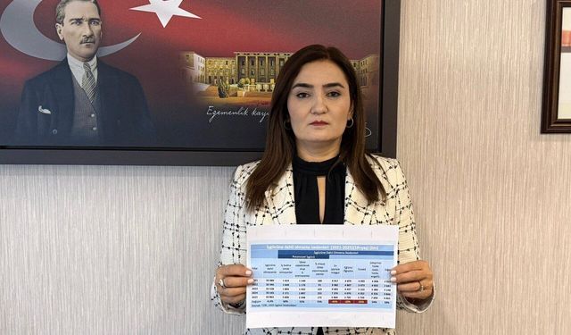 CHP'li Kılıç'tan işsizlik çıkışı: 2,6 milyon kişi umudunu kaybetti!