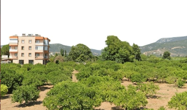 Tarım arazisini imara açan plana yargı freni!