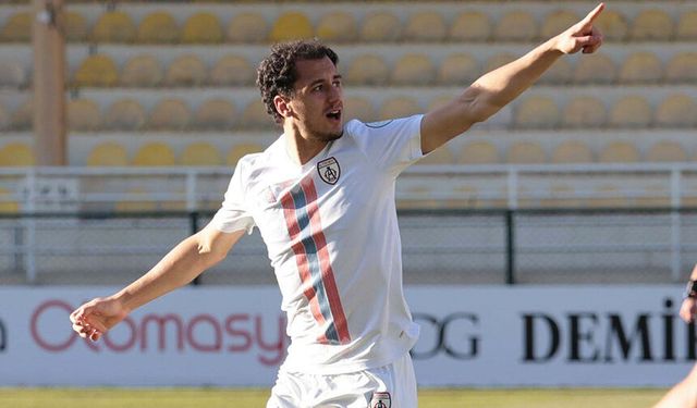 Altınordu'da Birhan kesik yedi