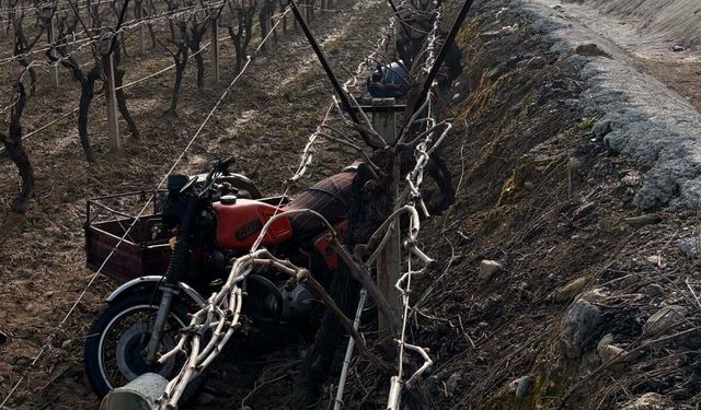 70'lik sürücü kaza kurbanı!