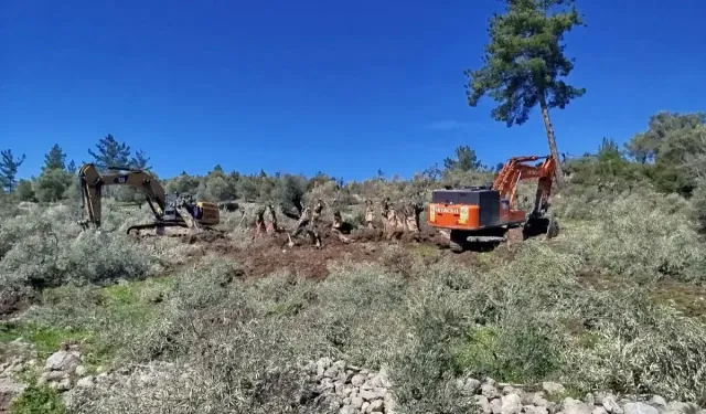 EGEÇEP’ten İkizköy uyarısı: Yargı süreci beklenmeli