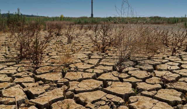 Uzmanından uyarı: 2026'da kurak günler kapıda!