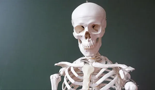 İklim krizi kemiklerimizi eritiyor