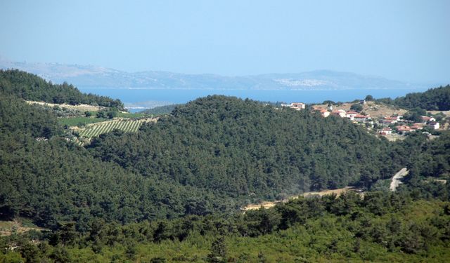 Orman ve SİT alanında imar hamlesi: Urla’da 85 villa planı askıda!