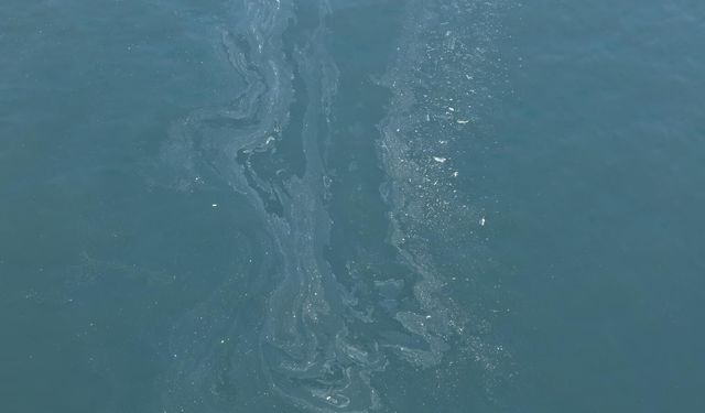 Vatan hainleri yine kirletti... Kasım'dan bugüne 7'nci kez!