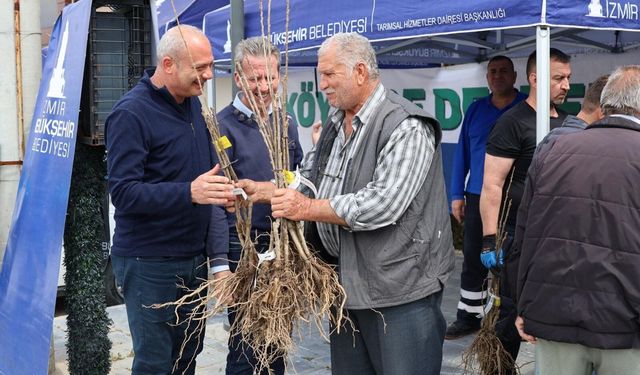 Beydağlı üreticiye çifte destek