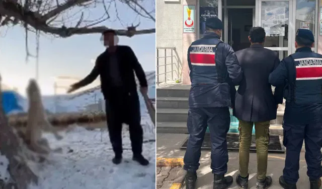Köpeğini 'çok yiyor' diyerek ağaca asarak katletti!