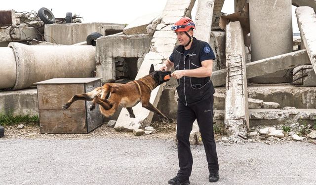 Barınaktan kahramanlığa: Momo’nun yolculuğu