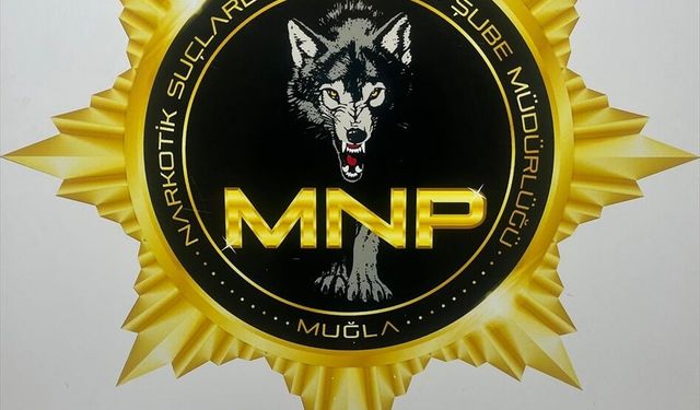 Muğla'da zehir operasyonu... Gözaltına alınan şüpheli tutuklandı