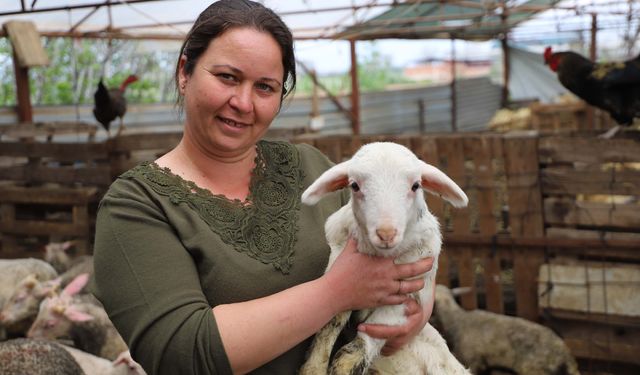 Babasının hediye ettiği kuzuyla çiftlik kurdu