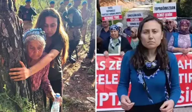 241 kurumdan ortak çağrı: Esra Işık serbest bırakılsın!