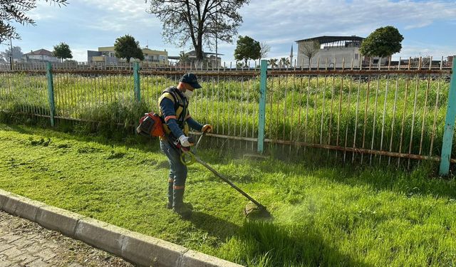 Aydın'da yeşil alanlara bahar dokunuşu