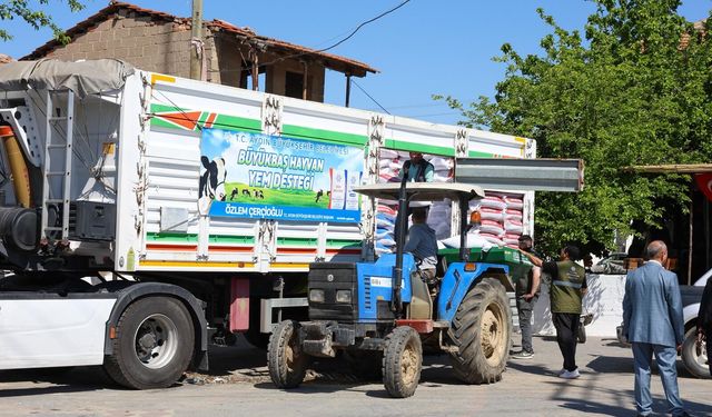 Aydın'da üreticilere yem desteği