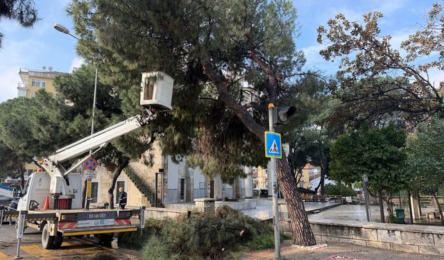 Aydın'da çalışmalar tam gaz!