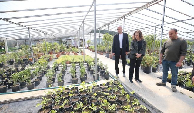 Kentin çiçeği Karşıyaka’nın serasında büyüyor