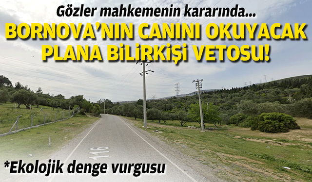Bornova'nın canına okuyacak plana bilirkişi vetosu... Gözler mahkeme kararında!