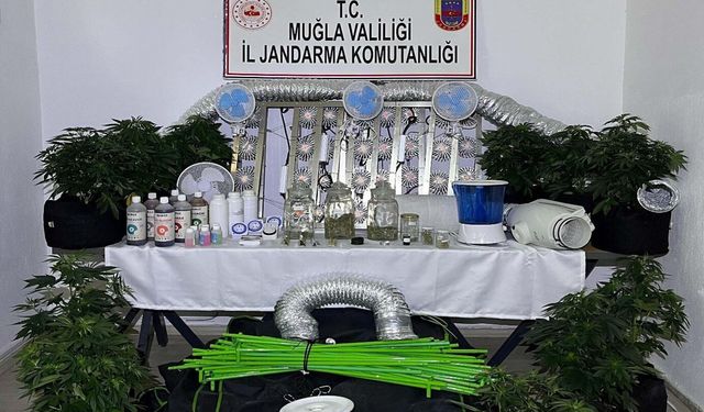 Muğla'da narkotik operasyonları: 12 tutuklama