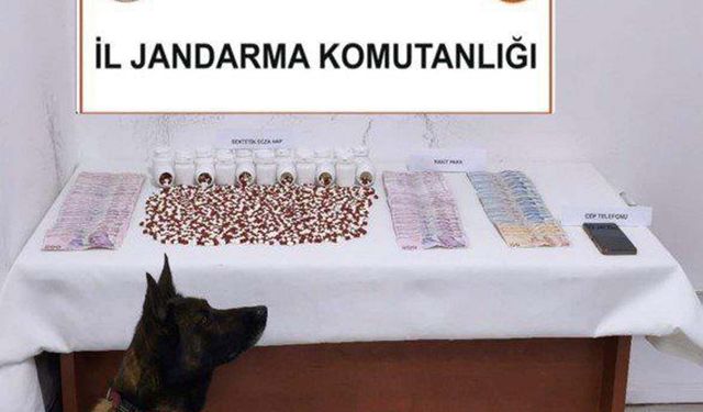 Muğla'da uyuşturucu operasyonları: 3 tutuklama