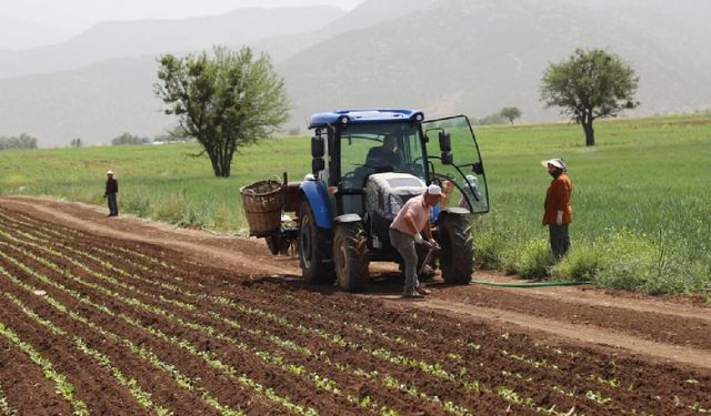 Çiftçilere tarımsal destekleme ödemesi bugün!