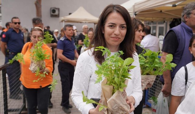 Seferihisar 14. Tohum Takas Şenliği'ne hazır