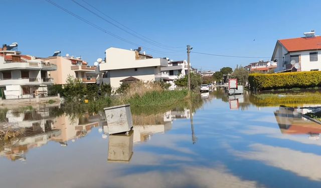 Dikili’de su baskını kronikleşti: Muhtar sitem etti!