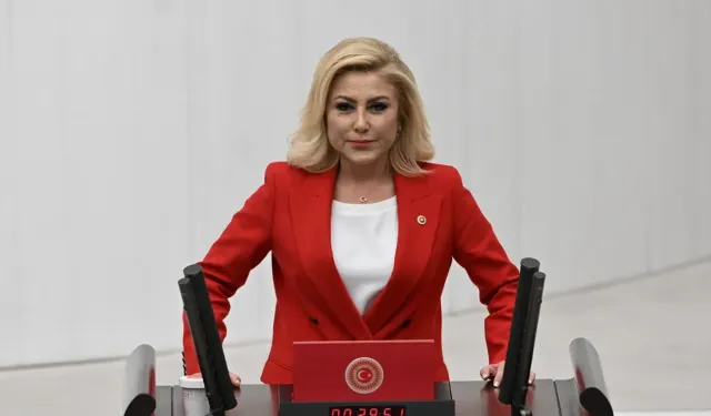 Bursalı'dan Özel'e: Sizin İzmir'e katkınız İnan'ın zekatı etmez!