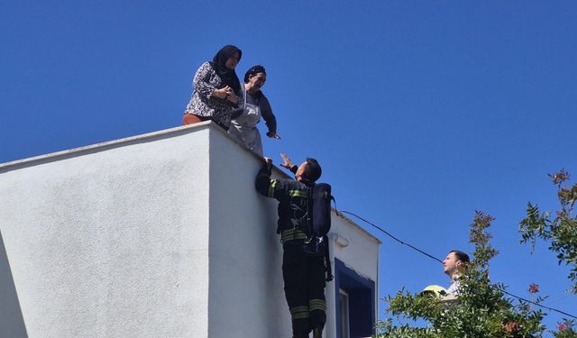 Bodrum'da yangın paniği: Çatıda mahsur kalan kadınlar kurtarıldı