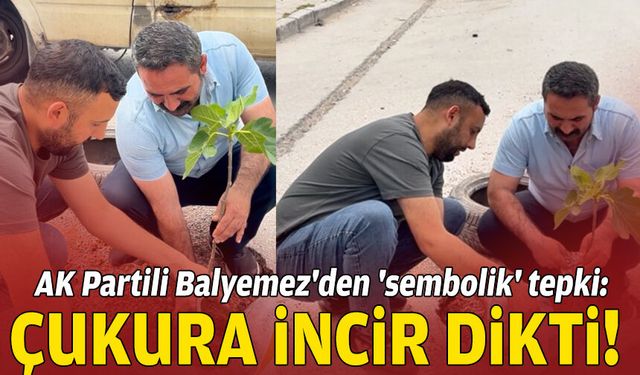 AK Partili Balyemez'den 'sembolik' tepki: Çukura incir dikti!
