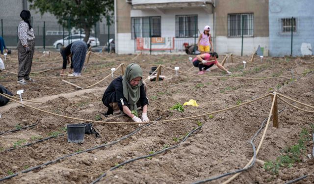 Avrupa’dan Bornova’ya kent bostanı incelemesi