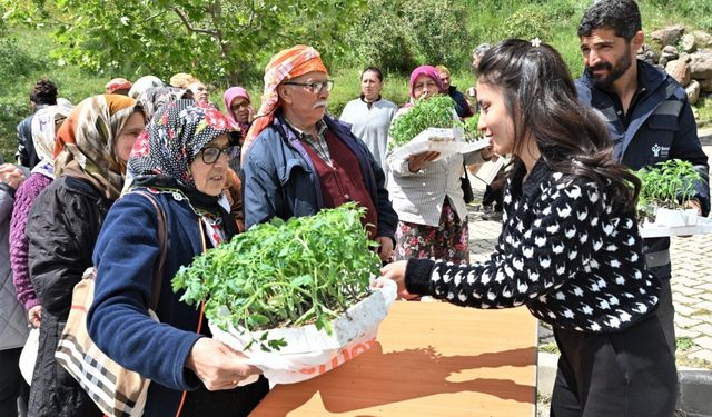 150 bin sebze fidesi dağıtıldı... Bornova’dan üreticiye can suyu
