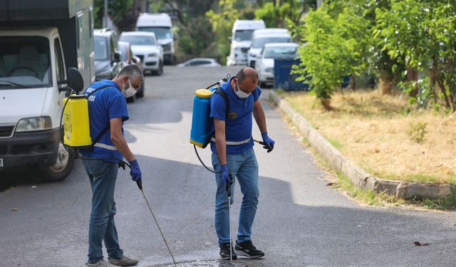 Buca’da yaz mesaisi başladı: İlaçlama seferberliği