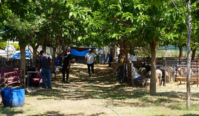 Seferihisar'dan Kurban Bayramı’nda dayanışma çağrısı!