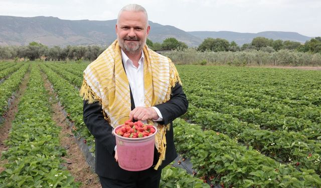'Çilek tadında festival' için geri sayım!