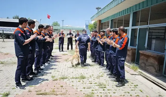Emekliliği beklenen köpek 'Köpük' grup ikincisi oldu