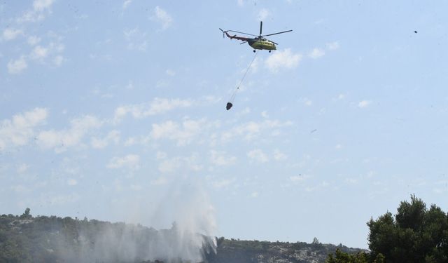 Urla'da orman yangını paniği!