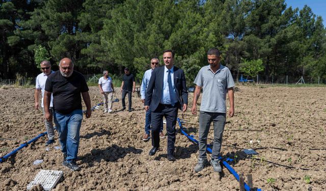 Bornova’da atıl topraklar hayat buluyor