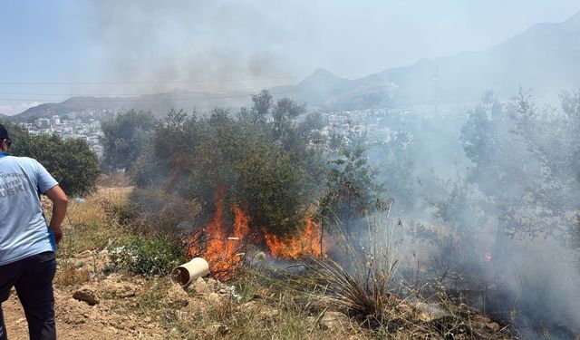 Bodrum'da 1 dekar alan küle döndü