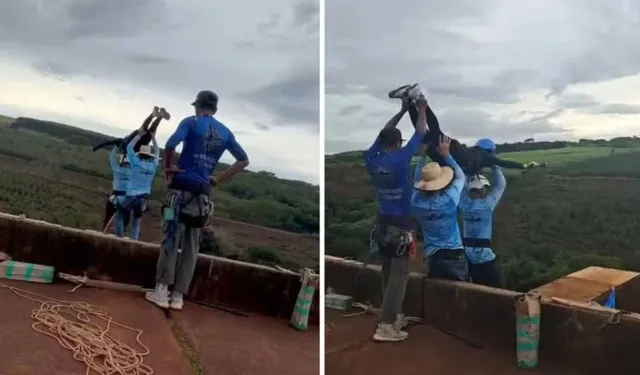 'Bungee jumping’ faciası