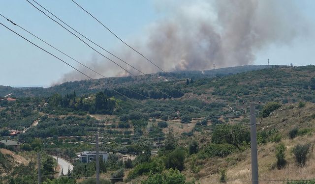 Çeşme’de korkutan yangın!