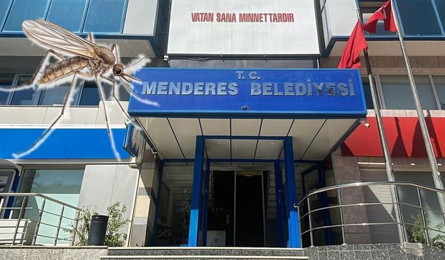 Sinek isyanına enteresan savunma: Önceliğimiz arılar!