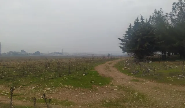 Torbalı Ovası’nda kağıt fabrikası davası: “Üstün kamu yararı” ve çevresel risk tartışması