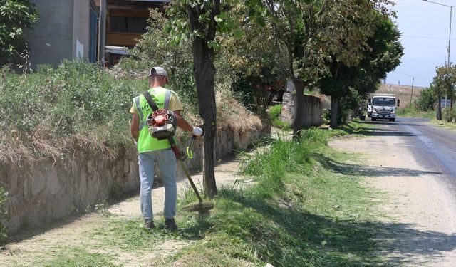 Aydın'ın ilçelerinde çalışmalar tam gaz devam ediyor