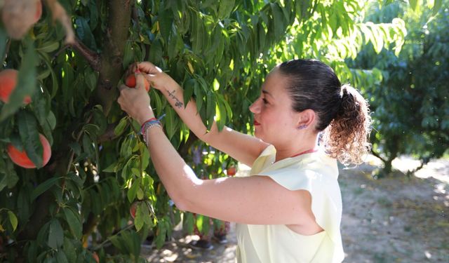 Selçuk'ta festivale davet!