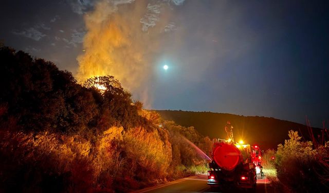 Dikili'de korkutan gece: Alevlerle 5 saatlik mücadele!