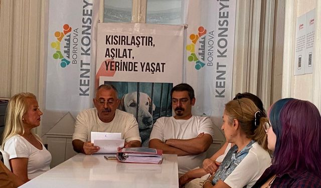 Bornova’da sokak hayvanları için kurumlara çağrı: Toplamayın kısırlaştırın!