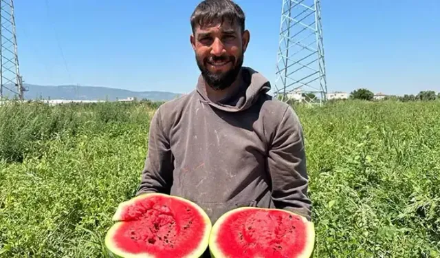 Torbalı'da karpuz yüzleri güldürdü!