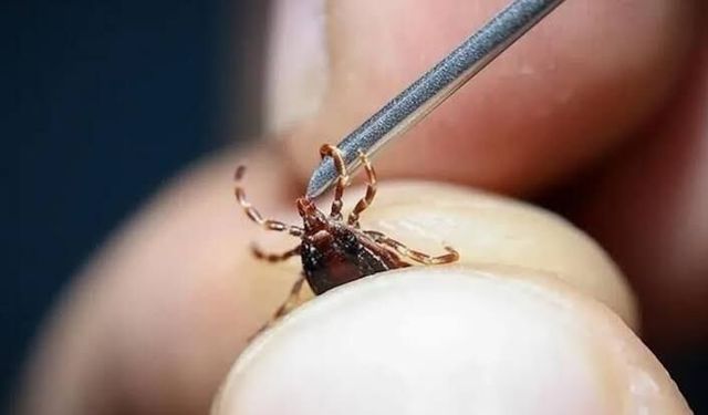 KKKA hastalığı şüphesiyle 13 kişinin tedavisi sürüyor