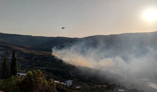 İzmir’in cennet köşesi alev alev!